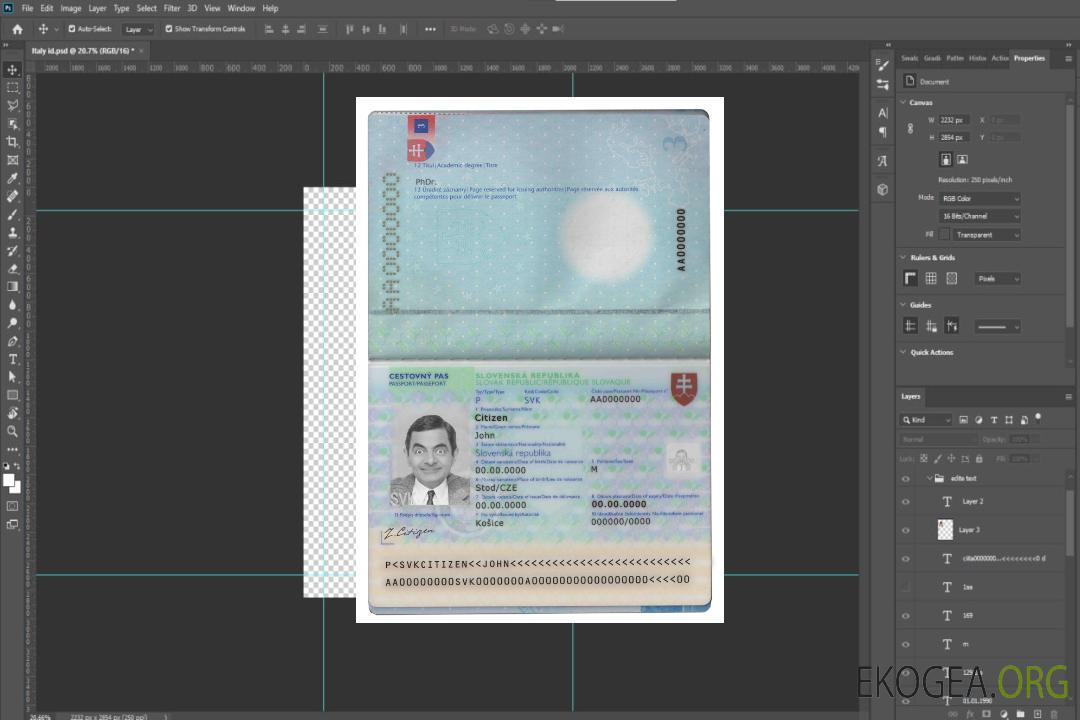 Passeport slovaque template